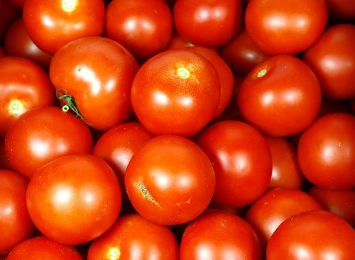 pomidory_03