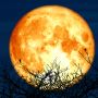 Horoskop na Pełnię Księżyca w Baranie. Jak Krwawy Księżyc wpłynie na ciebie?